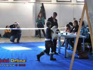 Výstavy psů se aktivně účastní i děti