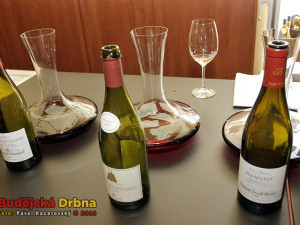 Budějcká restaurace Olivier v těchto dnech hostí Festival francouzských a italských vín