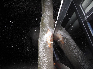 Havarovaný autobus u Trhových Svinů