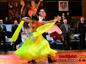 Mistrovství jižních Čech 2013 v tanečním sportu