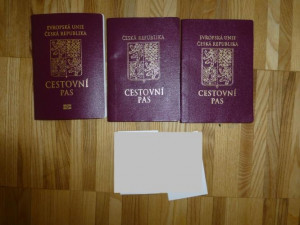 Falešné cestovní pasy