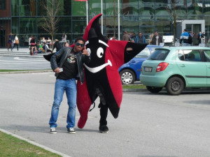 Fotbalisté Dynama na cestě městem s volnými vstupenkami na zápas s Jabloncem v ruce