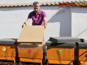 Aleš Mikšátko při práci