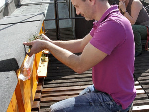 Aleš Mikšátko vylákává včely ven z úlů