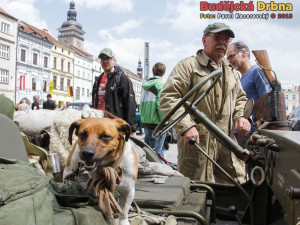 Smíšená vojenská posádka