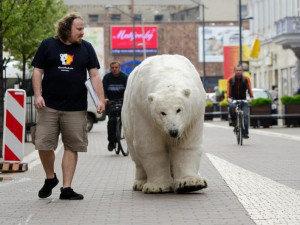 Arctic Tour 2013 v Českých Budějovicích