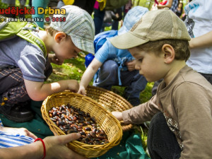 Do pohádky s králíky 2013