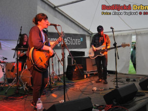 Kapela Hop Along z USA