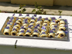 Samozřejmě nesmělo chybět ani borůvkové občerstvení