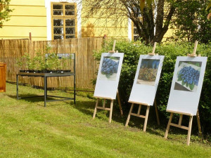 Výstava borůvkových fotografií