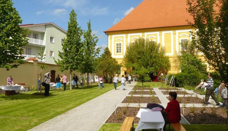 K vidění je osm druhů kanadských borůvek