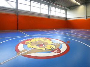 Sportovní hala v HOKEJOVÉM CENTRU POUZAR