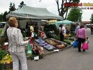 Vítr vháněl prach do očí