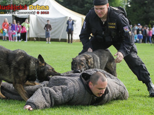 Zásah policejních psů