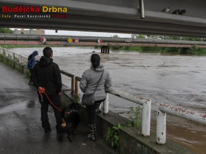 Nedělní idylka u rozvodněné Vltavy