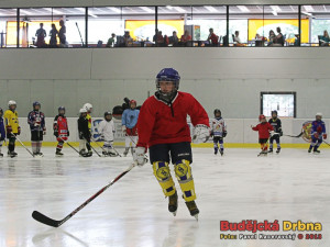 Finále soutěže Malý hokejista v Hokejovém Centru Pouzar