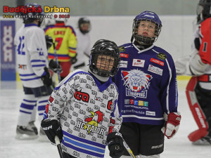 Finále soutěže Malý hokejista v Hokejovém Centru Pouzar