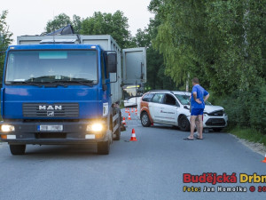 Srážka osobního automobilu s koněm v Šindlových Dvorech