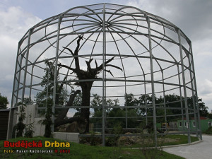 Voliéra pro orly skalní