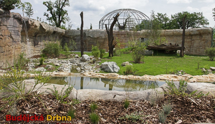 Nový domov tygra ussurijského