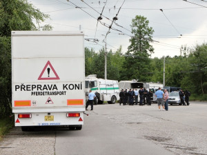 Konečná MHD, Antonína Barcala