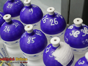 Hráči trénovali pod vedením Radka Bělohlava v Budvar Aréně