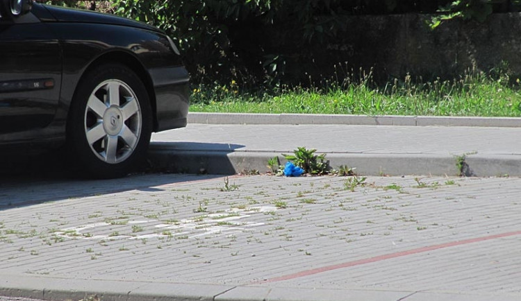 Podezřelý předmět byl v modrém sáčku