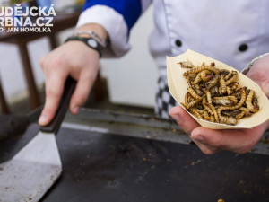 Gastrotour 2013 v Českých Budějovicích