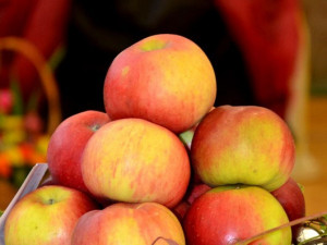 Regionální výstava ovoce v Budějcích