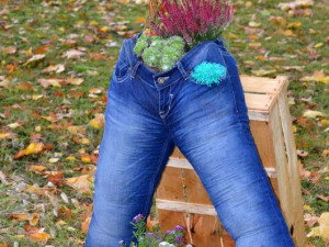 Regionální výstava ovoce v Budějcích