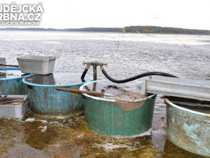 Výlov rybníku Rožmberk