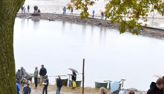 Výlov rybníku Rožmberk