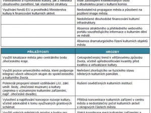Ukázka z analytické části dokumentu