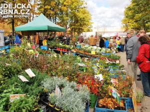 Krásný podzimní den