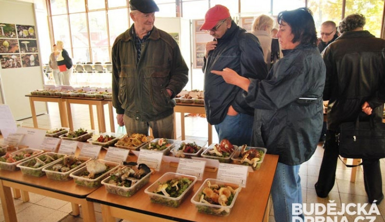 Nad výstavou hub probíhaly debaty