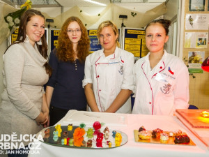 Vzdělání a řemeslo 2013