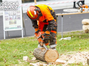 Vzdělání a řemeslo 2013
