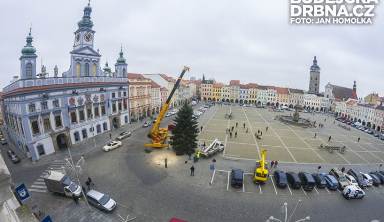 Stavění vánočního stromu na Náměstí Přemysla Otakara II.