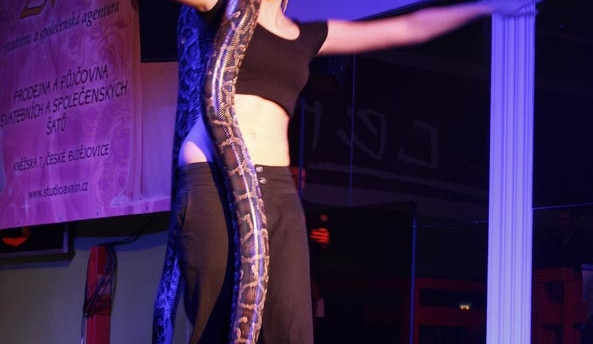 Finálový večer Miss VŠTE 2013