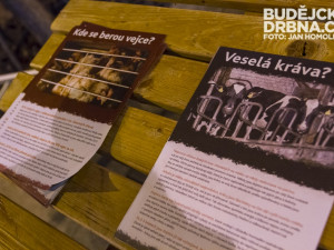 Promítání filmu Pozemšťané na Lannově třídě