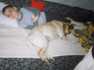 Canisterapeutický pes Eliška (2005)