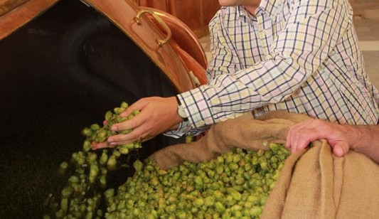 Adam Brož dávkuje čerstvý chmel