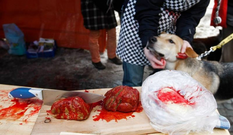 Vegani budou na náměstí nabízet vánoční psy
