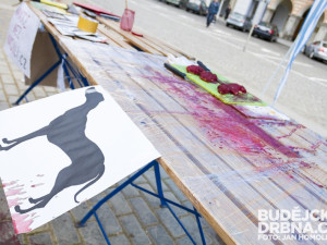 Vegani na náměstí Přemysla Otakara II. předstírali prodej psího masa