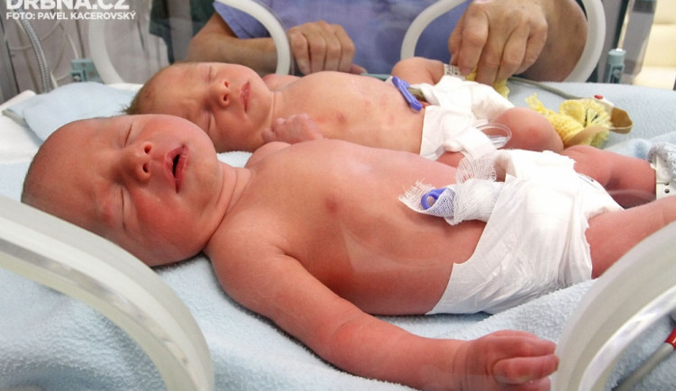Deniel a Dominik (v popředí) Fošumovi z Římova jsou prvními jihočeskými miminky roku 2014