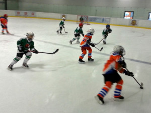 Týmy HC Českobudějovičtí Lvi dominovaly všem dománím utkáním