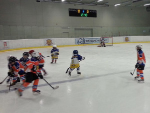 Týmy HC Českobudějovičtí Lvi dominovaly všem dománím utkáním