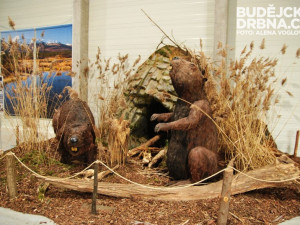 Výstava probíhá na českobudějovickém Výstavišti v pavilonu T2