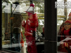 Medvědí bratři Ben a Dick slavili své pětadvacáté narozeniny