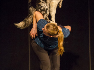 Slavnostní večer soutěže Miss Jihočeské univerzity